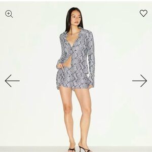 NWT skims  Snake skirt